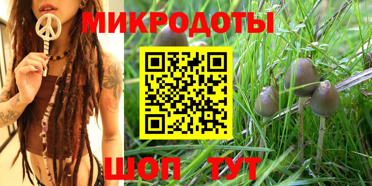 где купить   Вход с VPN  Ленинск-Кузнецкий  Псилоцибиновые грибы Cubensis  Галлюциногенные грибы GOLDEN TEACHER 