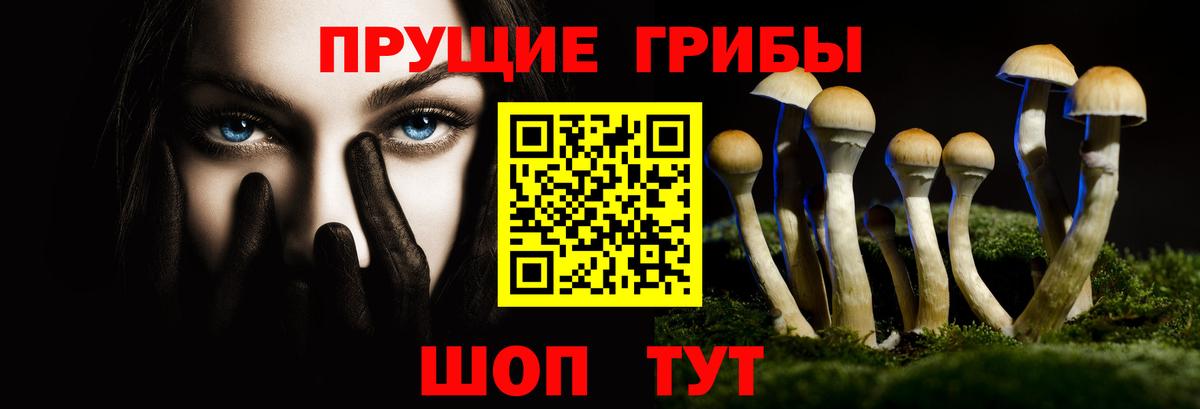 Галлюциногенные грибы GOLDEN TEACHER Ленинск-Кузнецкий